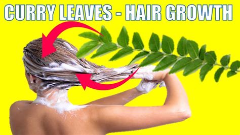 How To Use Curry Leaves For Exceptional Hair Growth Youtube