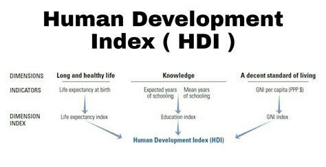 Components Of Human Development Index