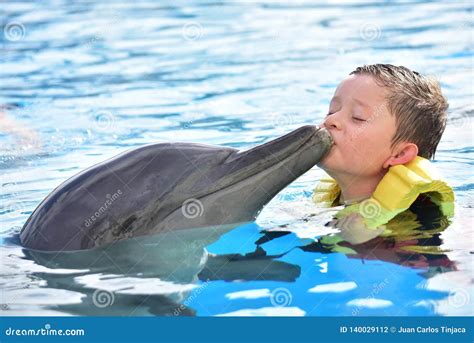 Boy Kissing Dolphin In Pool Stock Photo Image Of Kiss Smiling 140029112