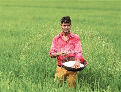 Govt Considers Allowing Urea Price Hike