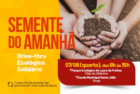 Drive thru solidário vai trocar alimentos por mudas de plantas em dois