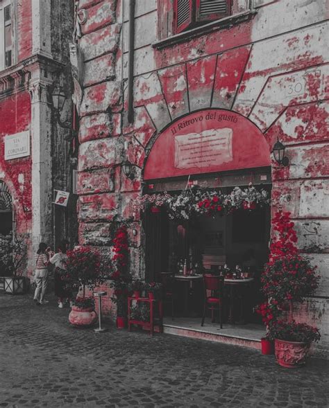 Vintage Brick Building with Red Flowers