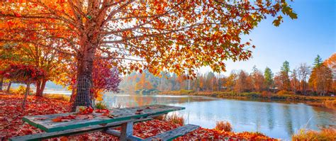 Fall Autumn Desktop Wallpaper 4k