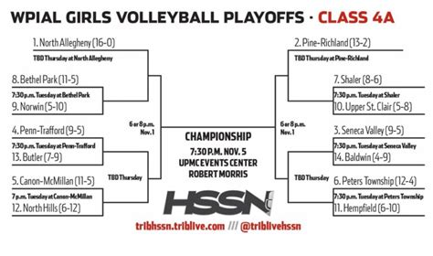 NA Volleyballers Receive Top Seed In WPIAL Playoffs - North Allegheny Sports Network