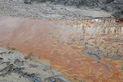 Lahan Pasca Tambang Pt Mhu Cemari Air Dan Kikis Kesuburan Tanah