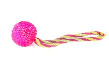 Pink Dog Toy Free Stock Photo - Public Domain Pictures