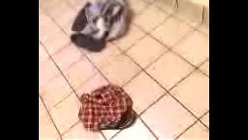 mamada en el baño grabada en secreto jajaja XVIDEOS