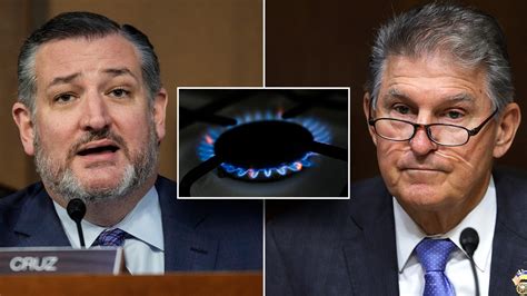 Ener Ted Cruz Joe Manchin Secure Gas Stove Protection Bill In Must