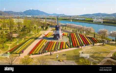 Aerial View Of Suncheonman Bay International Garden In Suncheon City Of