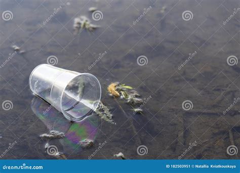 A Plastic Disposable Cup Was Thrown Into The River Pollution Of Nature