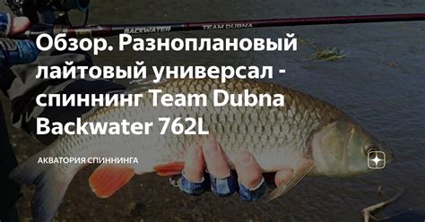 Обзор. Разноплановый лайтовый универсал - спиннинг Team Dubna Backwater ...