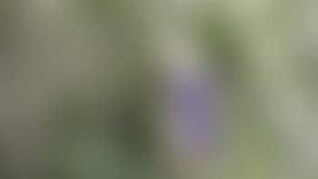 Wrecked Shoes Porn Tube Video Clips Clips Sale