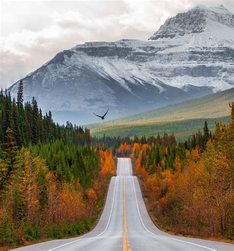 15 Best Stops On The Drive From Jasper To Banff Destinationless Travel