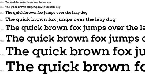 Fuente Tt Slabs Dise Ada Por Typetype Foundry