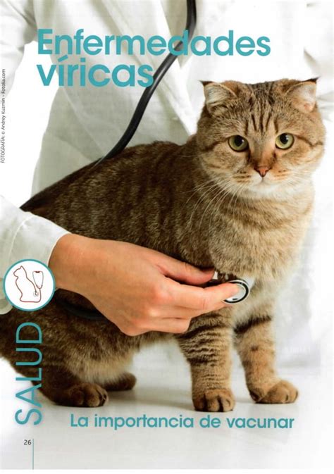 Gatos Y Enfermedades Viricas PDF Descarga Gratuita