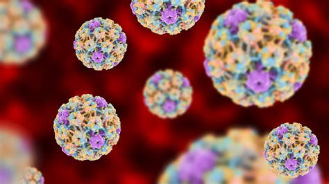 Cómo Funcionan Las 4 Vacunas Desarrolladas Para Prevenir El Hpv Infobae