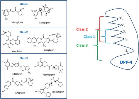 Frontiers Clinical Use Of Dpp 4 Inhibitors