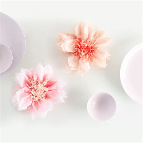 Sakura Sakura