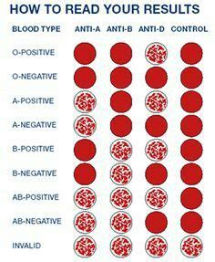 blood types chart blood typing chart blood typing notes haematology