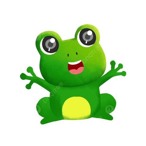 Frog Clipart Transparent Png Hd Frog Frog Material Frog Pictures Png