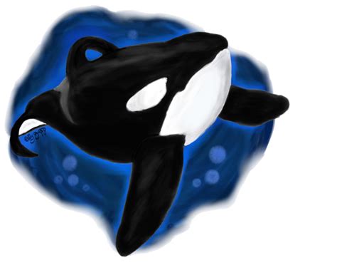 Shamu Coloring Pages - Cliparts.co