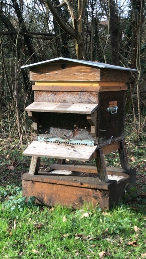 Fabrication D Une Ruche Dadant Par Ty Gwenan Sur L Air Du Bois