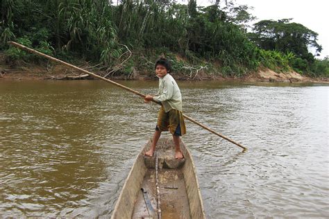 Tsimane people’s lifestyle may be key to understanding healthy brain aging