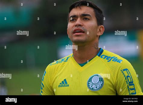 SÃO PAULO SP 06 09 2016 TREINO DO PALMEIRAS Pictured Dudu player