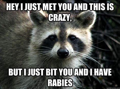 Hey I Just Met You And This Is Crazy But I Just Bit You And I Have