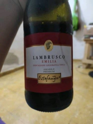 Vi A Estefanya Lambrusco Premium Amabile Vivino Us