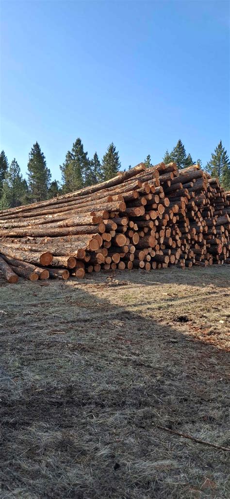 Helena Classifieds (Electronics, Tools, Cars)... you know... MAN STUFF