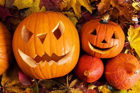 Perché la zucca è il simbolo di Halloween