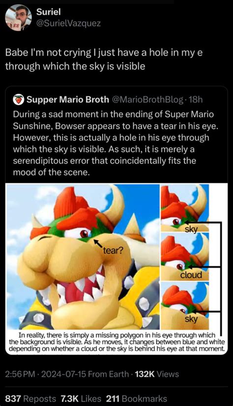 bowser on Tumblr