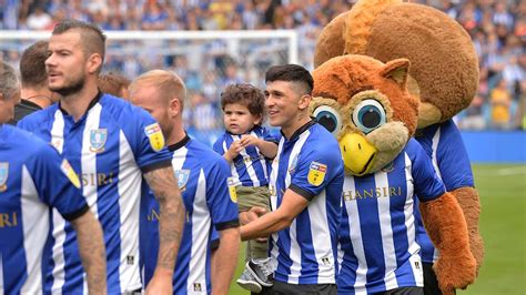 Owls V Millwall Match Preview News Sheffield Wednesday