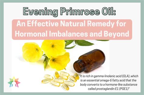 Evening Primrose Oil Natural Remedy For Hormonal Imbalances And Beyond