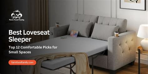 Best Loveseat Sleeper: Top 12 Comfortable Picks for Small Spaces (2024)