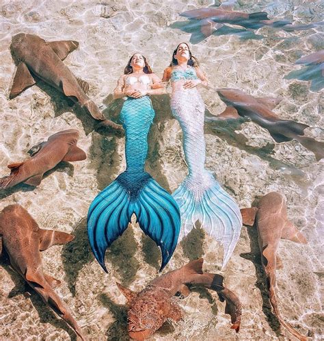 We LOVE This Amazing Repost From Underwater Mermaids It Is A