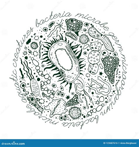 Bacteria Hand Drawn Image Vector Illustration