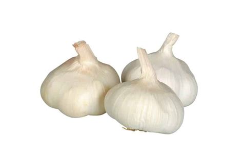 Garlic - Prepared Food Photos, Inc.