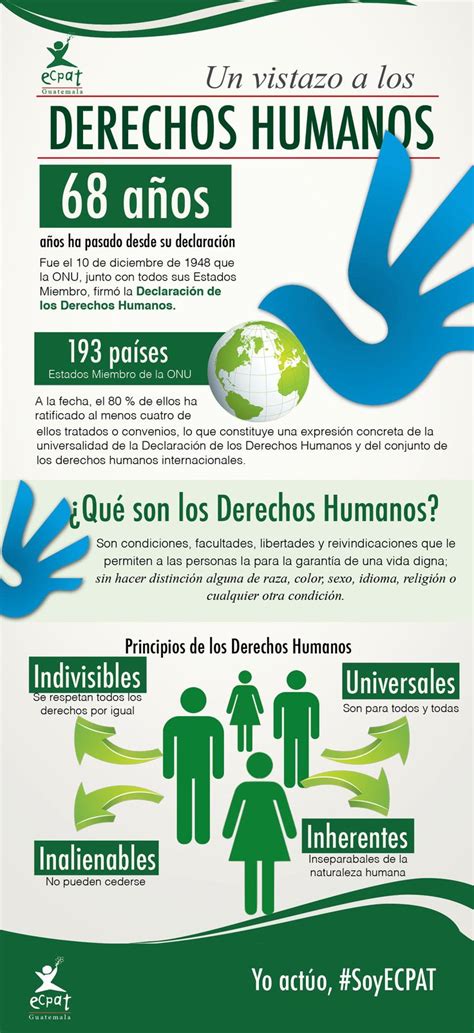 Infografia De Los Derechos Humanos