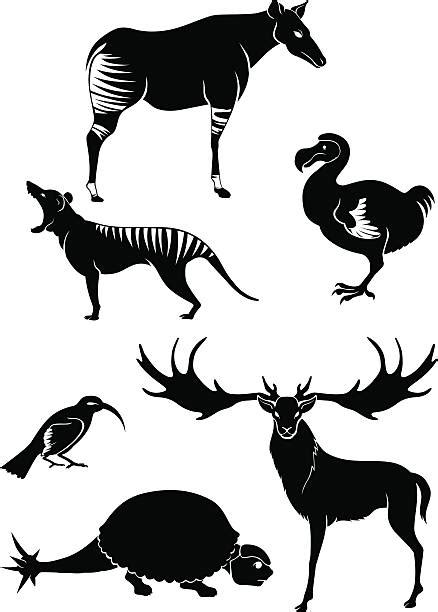 10+ Okapi Silhouette Stock Illustrations, Royalty-Free Vector Graphics ...