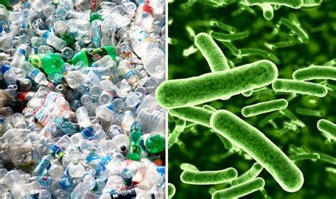 Scientists Find Bacteria That Eats Plastic GGRC