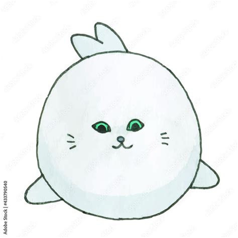 Cute Seal Drawing