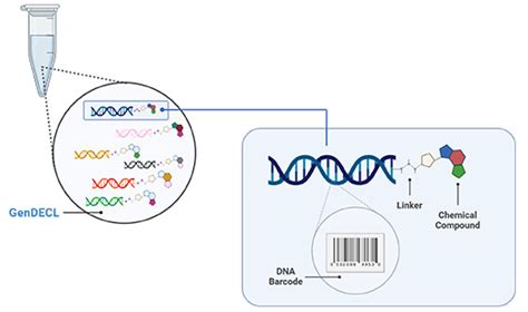 Genscript Dna Encoded Chemical Library Kit Gendecl™