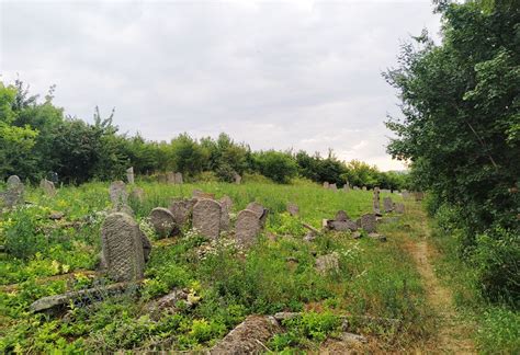 Chernivtsi Jewish Cemetery Esjf Surveys