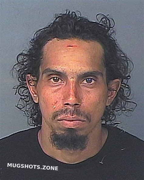 Rosario Julio Cesar Hernando County Mugshots Zone