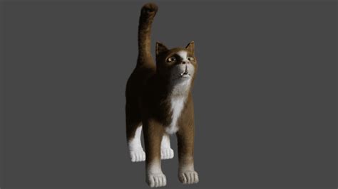 Cute cat, still a work in process : r/blender