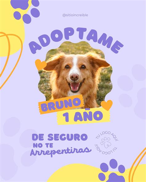 Plantillas de Afiches De Adopción De Mascotas online gratis Canva