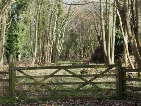 Gated Track Into Woodland David Pashley Cc By Sa 2 0 Geograph