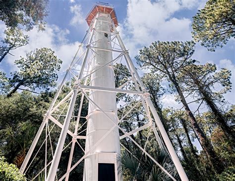 One of Hilton Head Island's Oldest Trees | Hilton Head Lighthouse